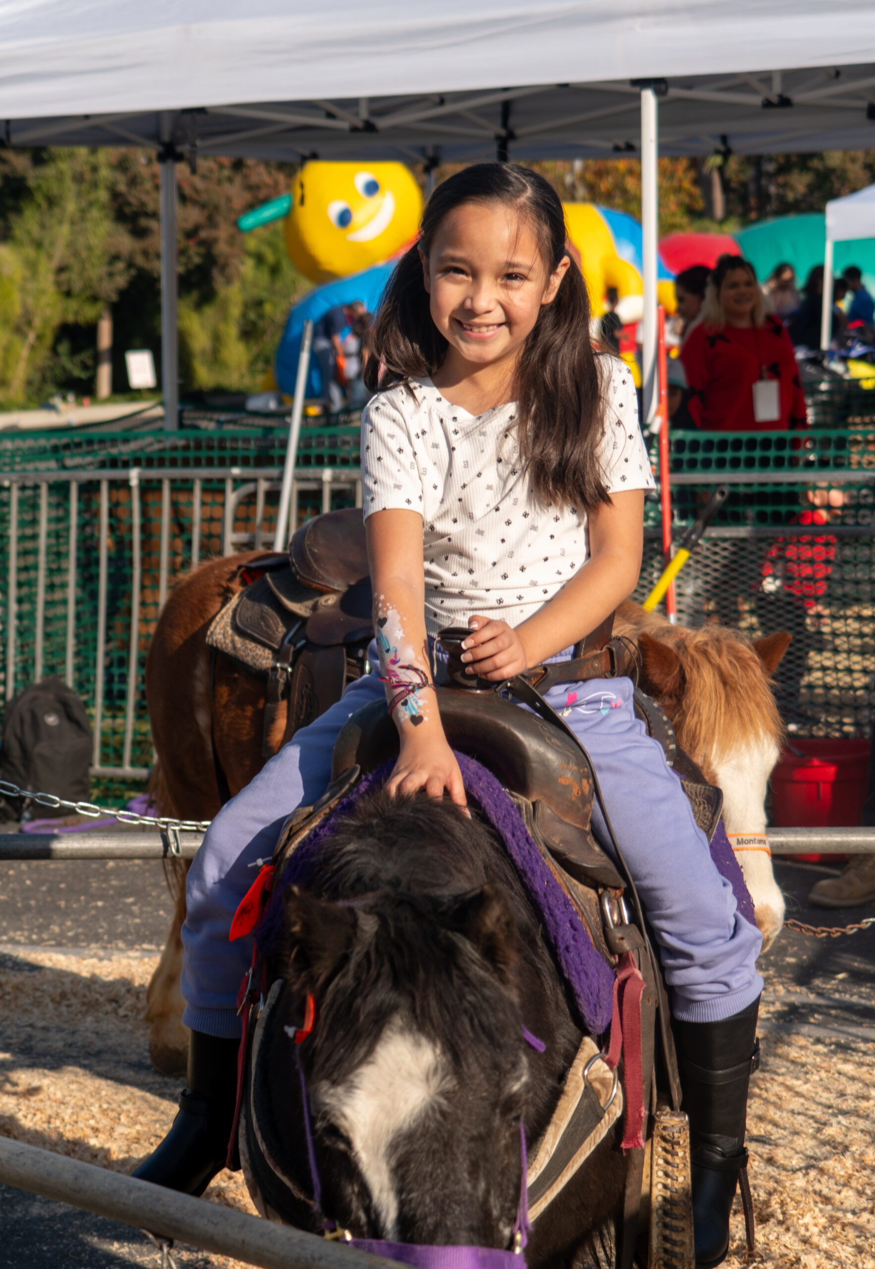 December 2026<br>12pm-3pm