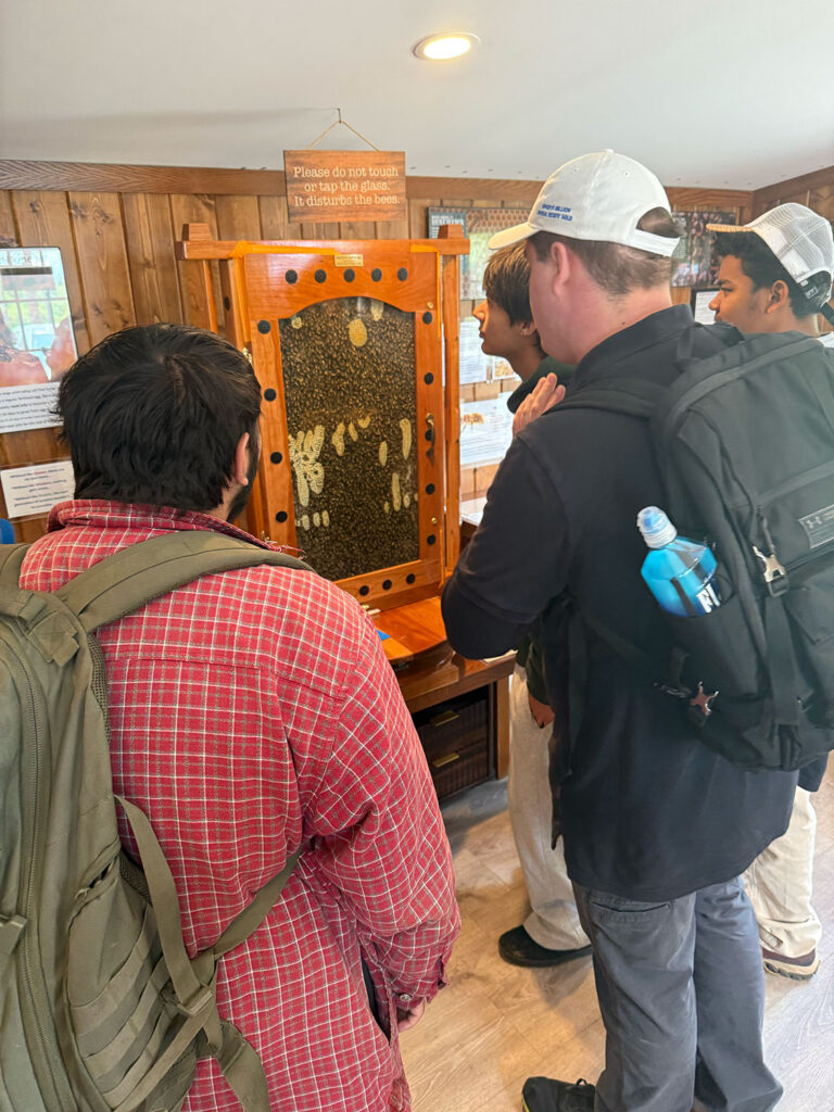 At the educational center for a close-up look at a working bee hive.