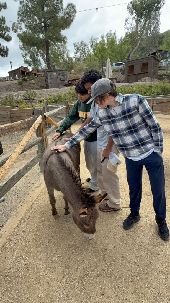Students getting to know the animals.